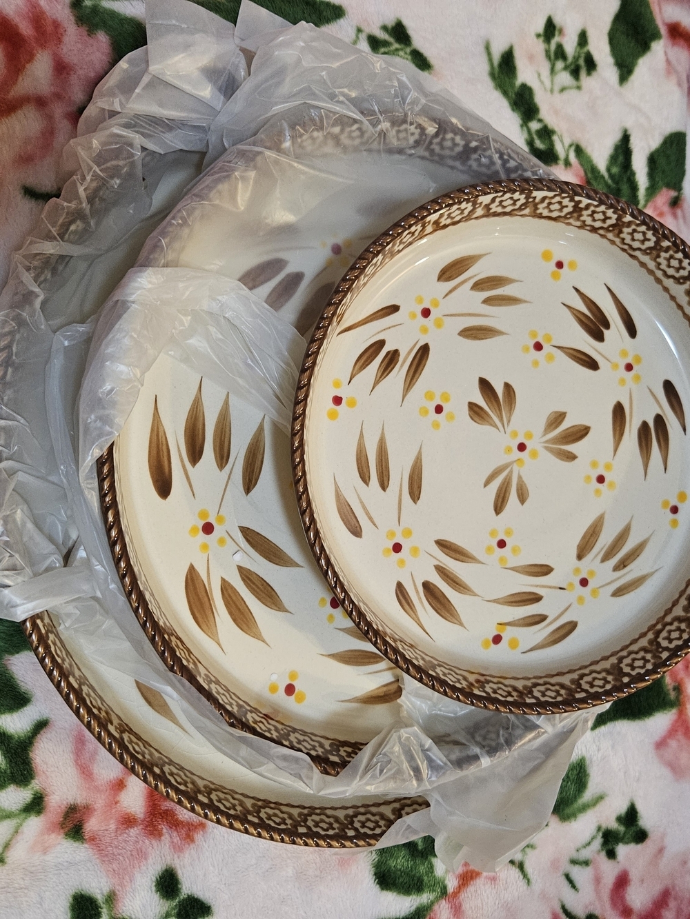 Temptations Brown & Cream Floral Ceramic Serving Plates - Set